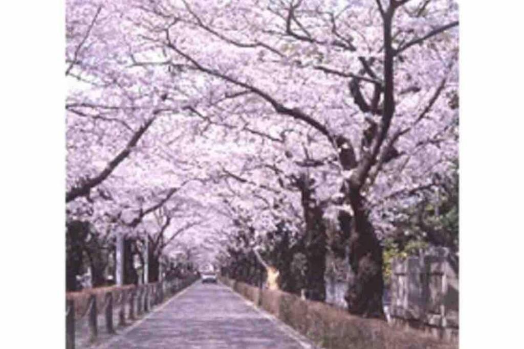 Small Villa Tokyo 渋谷まで2駅10分 青山一丁目駅徒歩3分一軒家ペット歓迎お子様歓迎駐車場あり6人までok エクステリア 写真
